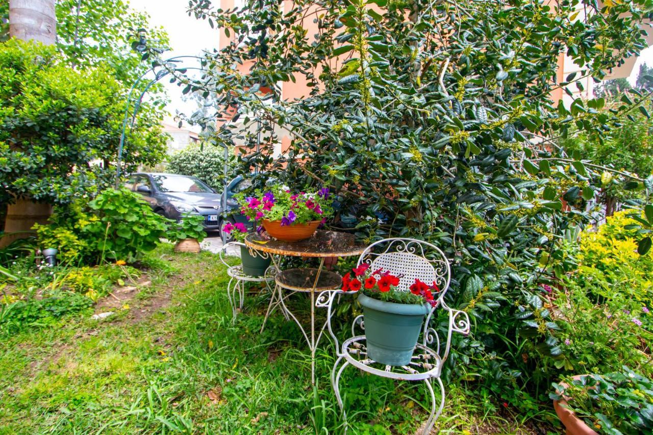 Sophie's Garden